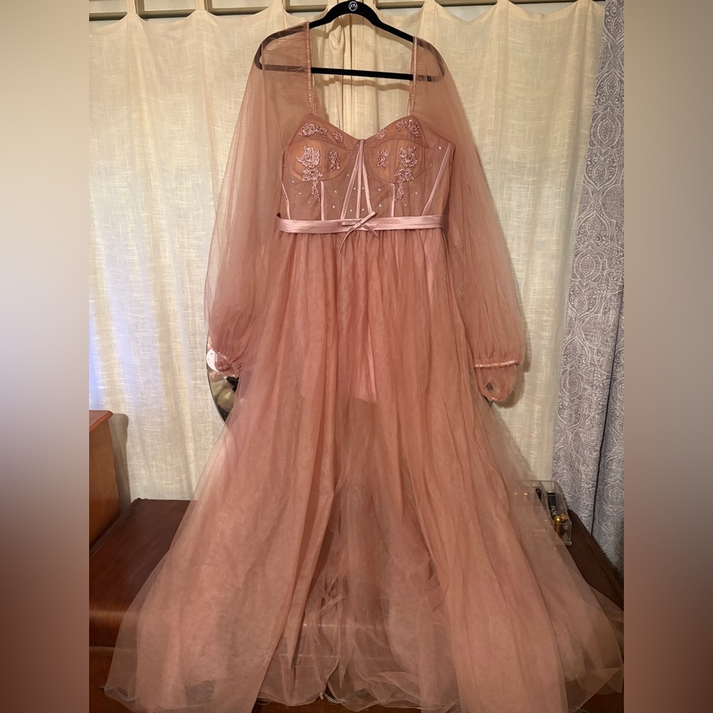 Elegant Sheer Pink Gown
